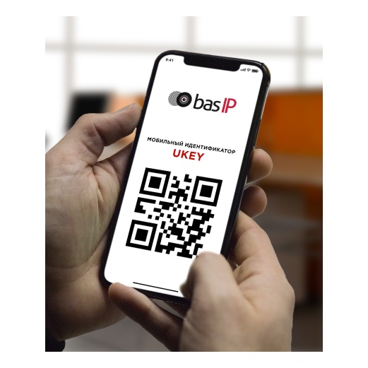 BAS-IP KIT(O2)AV1G-AUB Комплект "Офис"